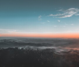 Úvodní stránka bird s eye view photography of green forest 1208379.jpg